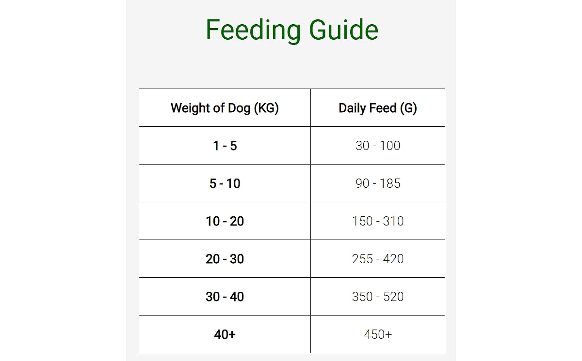 SPR - Gluten Free Salmon & Rice Dog Food