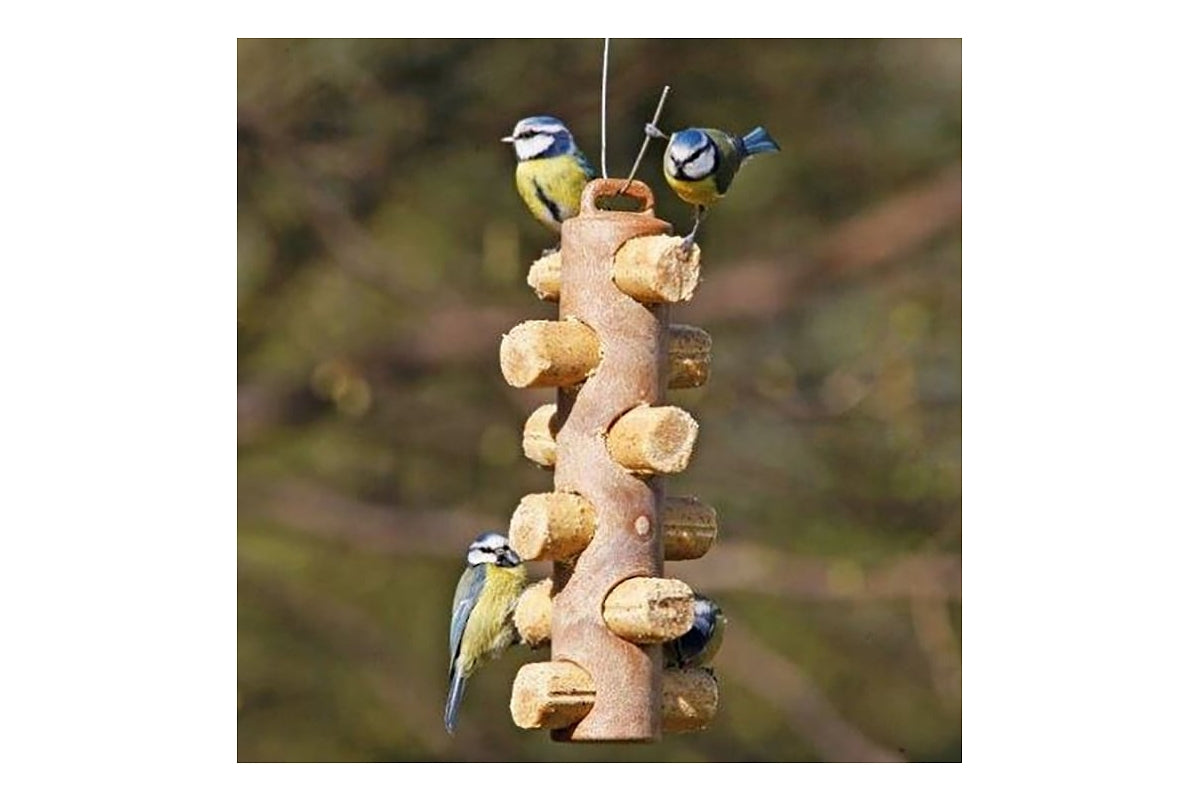 Suet to Go - Suet Logs with Insect (6 Pack)