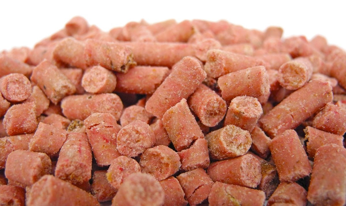 Suet to Go - Suet Pellets with Berry - 500g