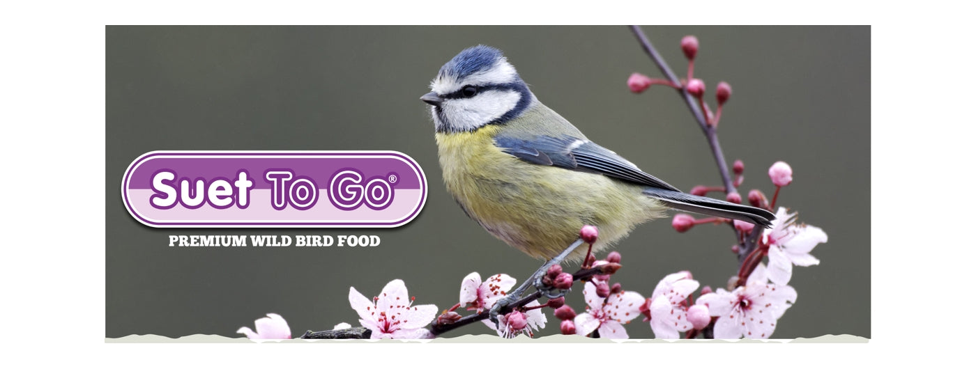 Suet To Go - Suet Cakes with Berry 10 x 280g - Buy Online SPR Centre UK