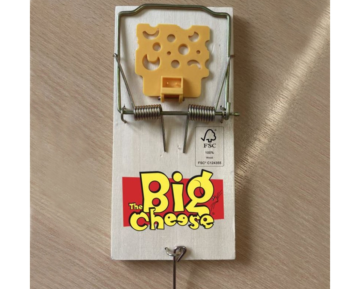 Cheese Wheel Rabbit Trap The Big Cheese - Cheese Pedal Mouse Traps (Pack of 2) – SPR Centre