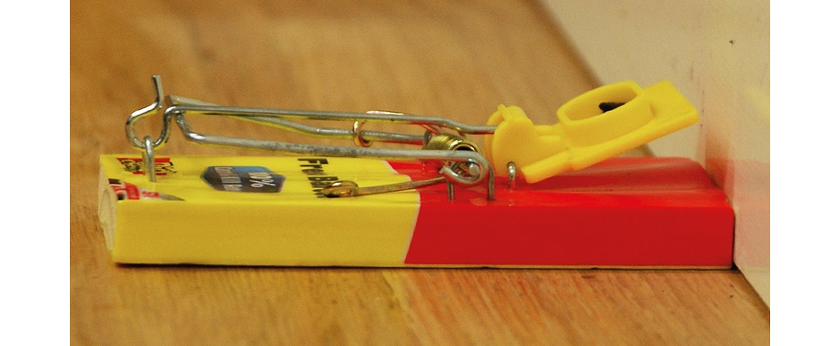 The Big Cheese - Fresh Baited Mouse Trap