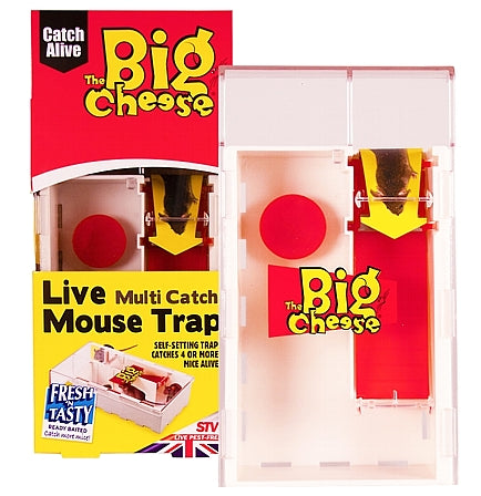 Live Multi-Catch Rat Trap - The Big Cheese Official Manufacturer