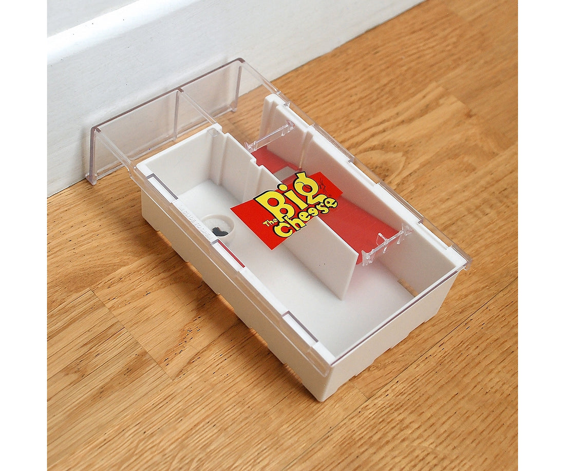 The Big Cheese Live MultiCatch Mouse Trap SPR Centre