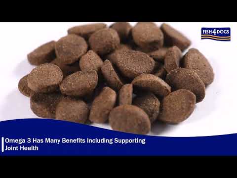 Fish4dogs 2024 puppy food